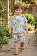Boys Multicolor Printed Shorts Set with Shirt And Graphic T-Shirt